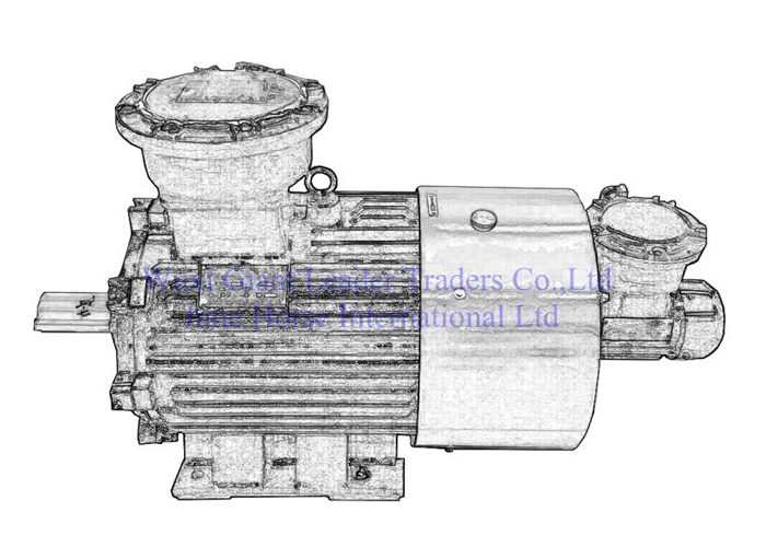(400 and Above) Variable-Frequency and Variable-speed Flameproof Electric  Motors 