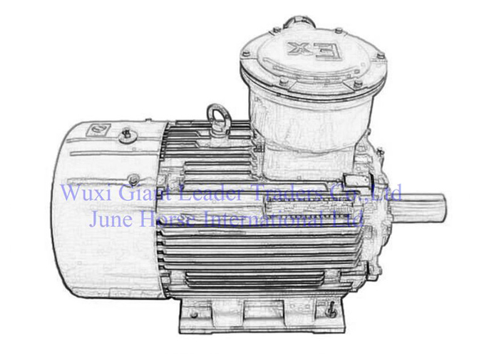 YB2 Series Explosion-proof Electric Motor