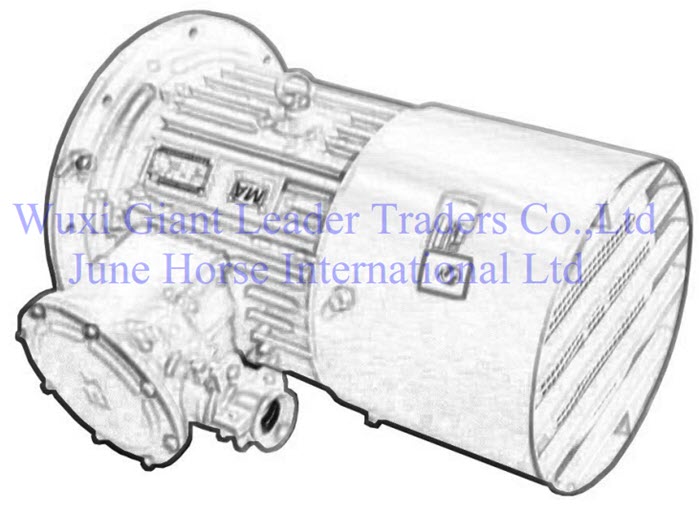Flameproof Three-Phase Asynchronous Motor for Conveyor