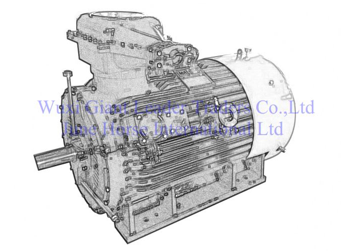 High Voltage Flameproof Electric Motors 400-450 Series