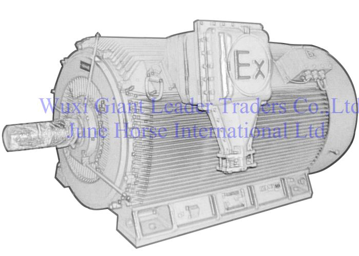 High Voltage Flameproof Electric Motors 10KV