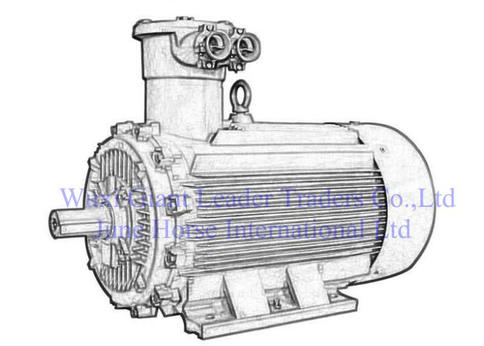 Low Voltage Large Power  Flamerpoof Electric Motors 