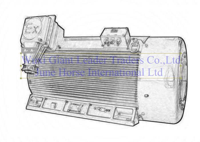 High Voltage  Flamerpoof Electric Motors  6KV