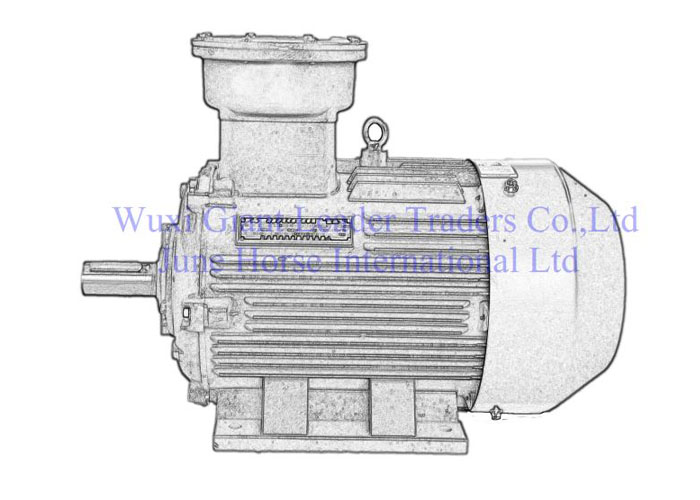 Low Voltage Flamepoof Electric Motors-YBX3 Series