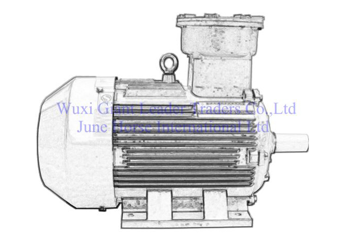 Low Voltage Dust Ignition Flameproof Electric Motors 
