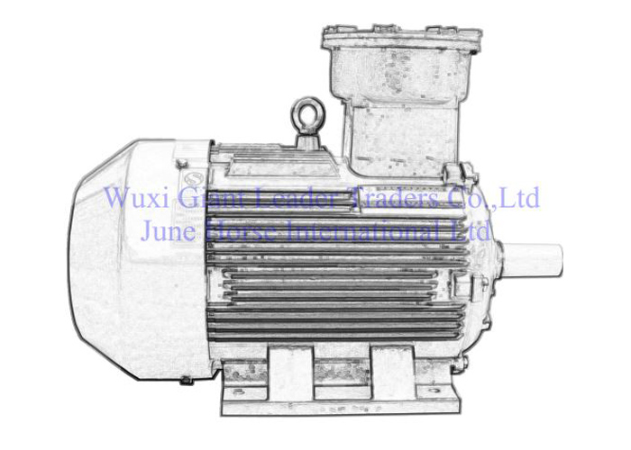 YFB3 Series Dust-Ignition Explosion Protected Electric Motor