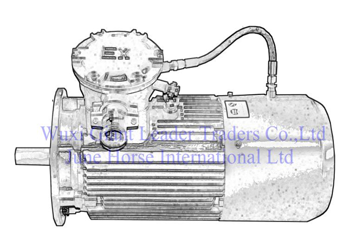 Low Voltage Brake Flameproof Electric Motors